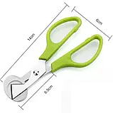 Ножиці для перепелиних яєць, фото 7