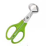 Ножиці для перепелиних яєць, фото 5