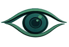 Камери високої якості GreenYi