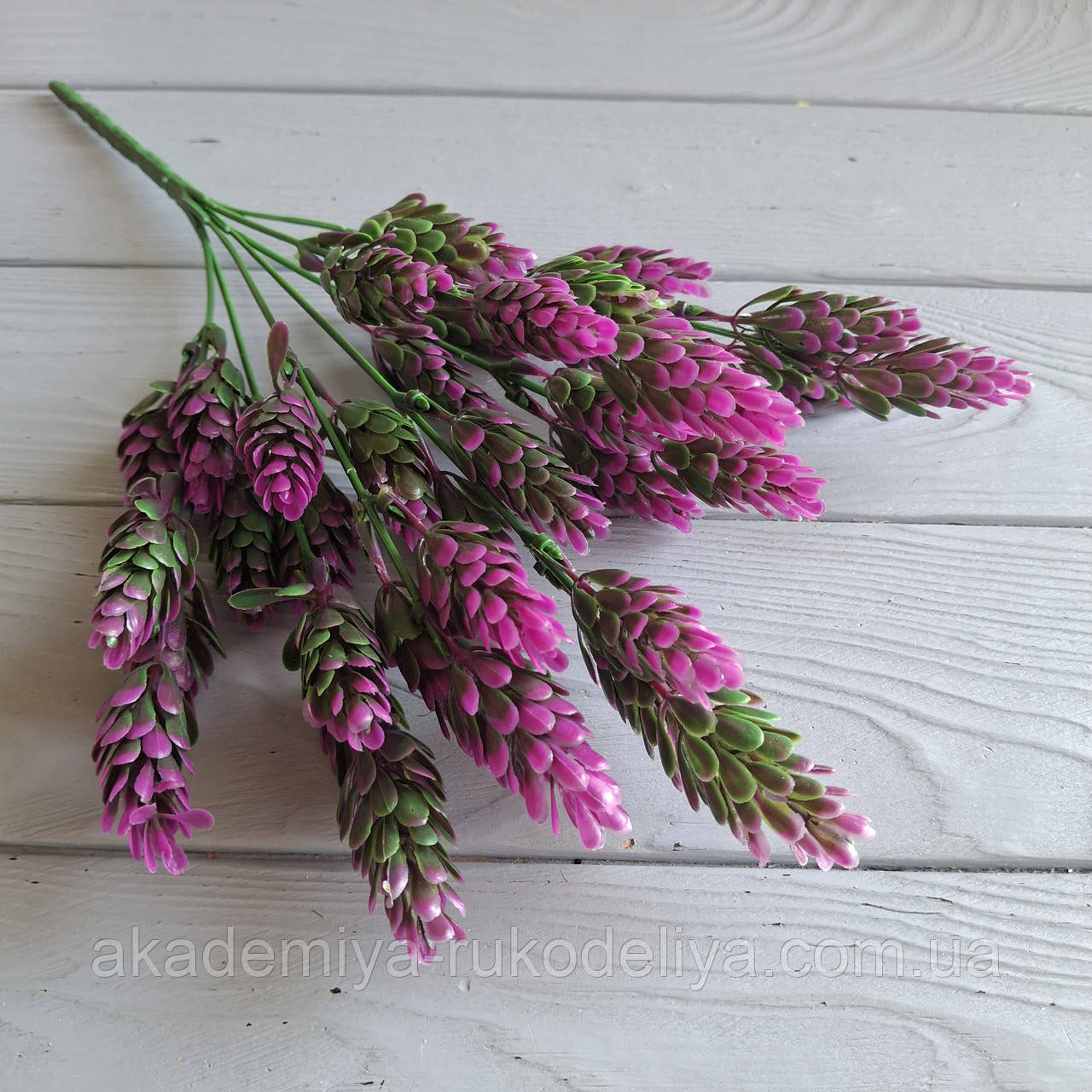 Куст-хміль рожевий (куст 7 гілок), фото 1