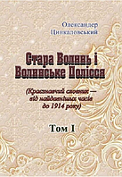 Книга Стара Волинь і Волинське Полісся. Том 1. Автор - Олександр Цинкаловський (ЦУЛ)