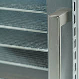 Професійний дегідратор Tekhniko DH-08H-SS (8 сталевих лотків) — сушарка для фруктів, овочів, м'яса, грибів, фото 9