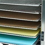 Професійний дегідратор Tekhniko DH-08H-SS (8 сталевих лотків) — сушарка для фруктів, овочів, м'яса, грибів, фото 6