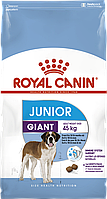 Сухий корм Royal Canin Giant Junior (Роял Канін Джаінт Джуніор) для цуценят гігантських порід, 15 КГ