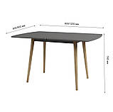 Деревянный раскладной обеденный стол LION Майами-3 Нимфея Альба (белый) 90х60/90х120, фото 9