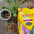 Seramis — все про німецький субстрат для рослин Сераміс
