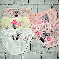 Дитячі трусики для дівчинки набір 5 шт бавовняні труси дівчинці Donella 134-140 см 8-9 років Ведмедик 41ECOMIX