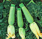 Кабачок Іскандер F1 Seminis/Нідерланди 5 шт, фото 3