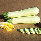 Кабачок Кавілі F1 Nunhems/Нідерланди 5 шт, фото 7