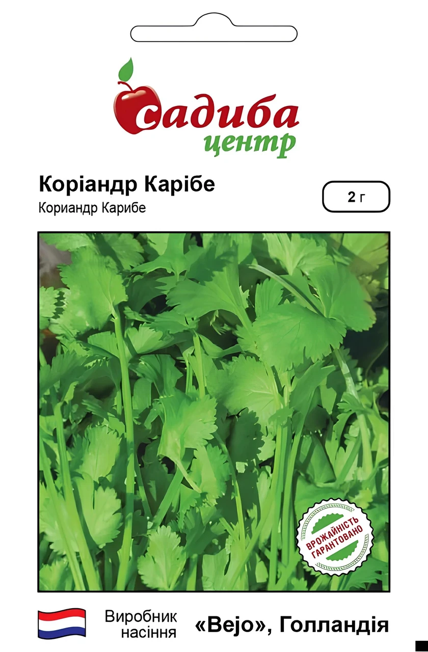 Кінза (коріандр), 2 г, СЦ
