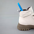 Черевики жіночі шкіра байка 592915 Молочні, фото 7