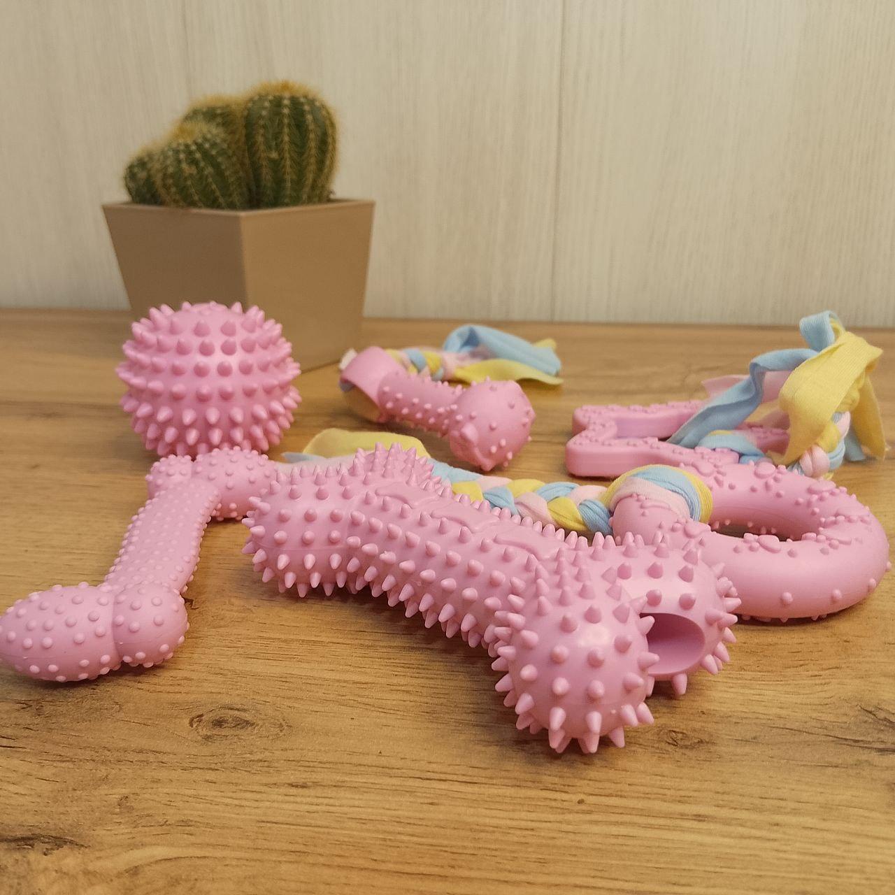 Набір іграшок для собак рожевий 6 в 1 (100)