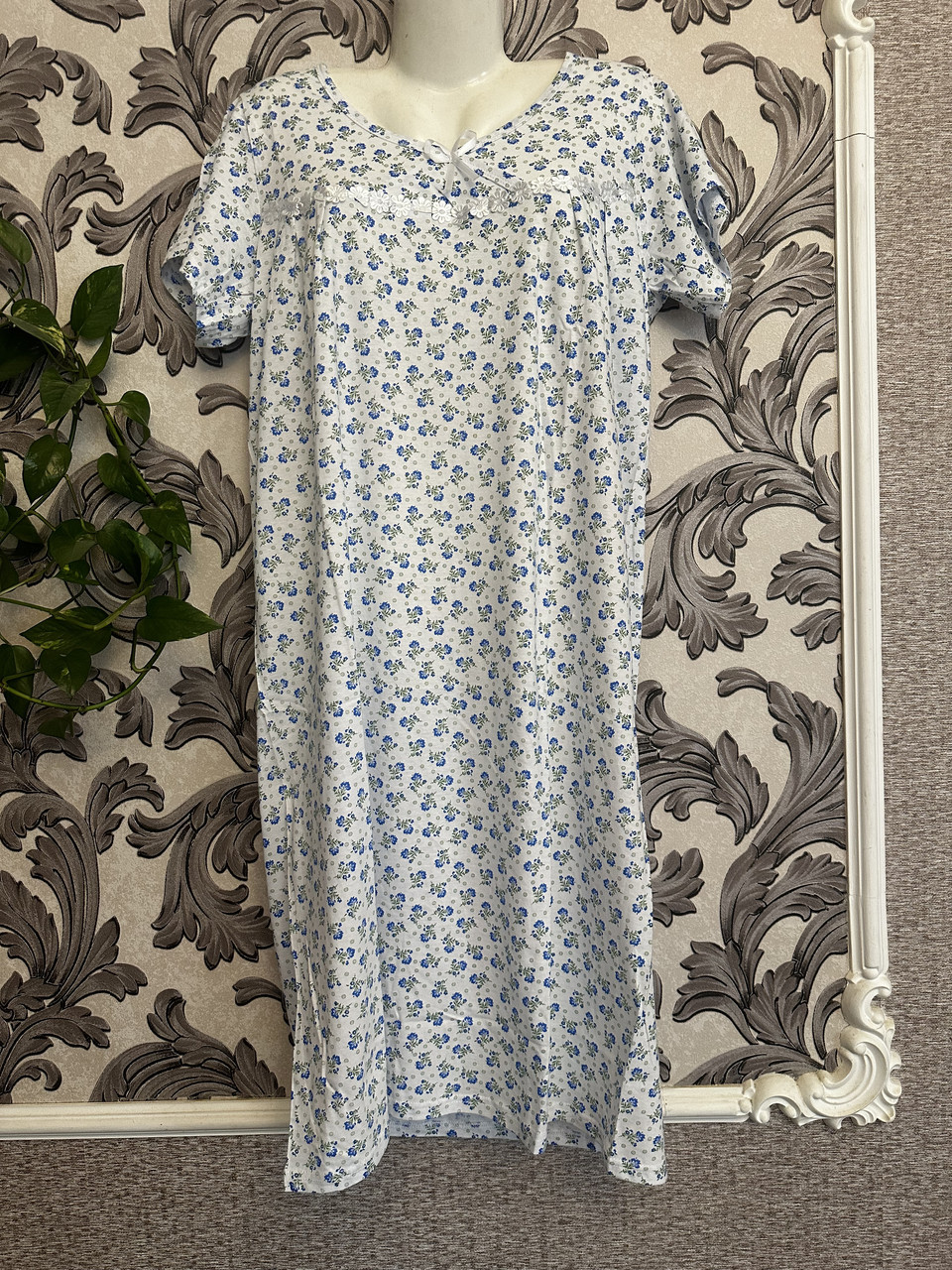 Нічнушка жіноча Узбекистан