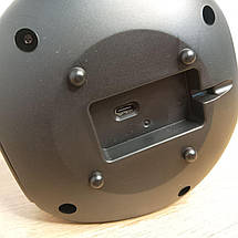 Ультразвуковий відлякувач мишей, щурів, гризунів і комах Ultrasonic (45), фото 4