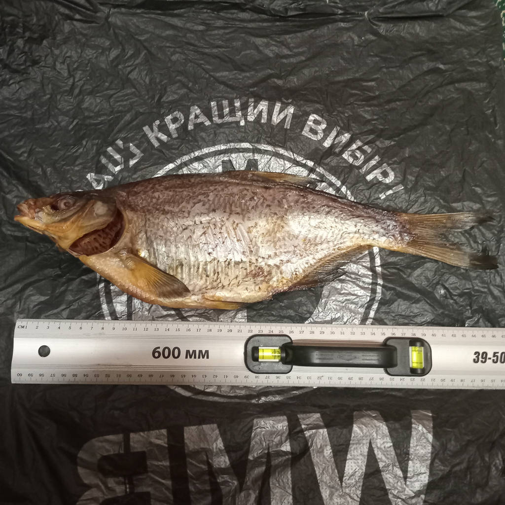 Лящ в'ялений без ікри, розмір 300-500грам - фото покупців 1