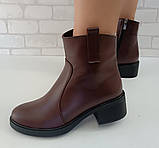 Черевики жіночі на підборі шкіряні від виробника модель ШТ25-1210, фото 3