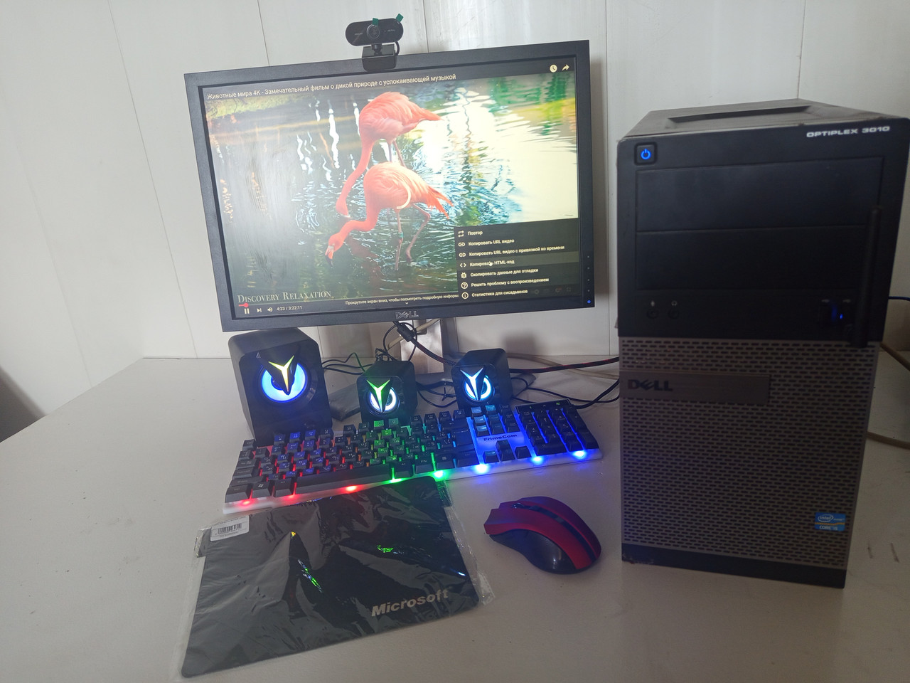 Әдемі араб әйелдерінің жыныстық қатынасқа түсуінің видеосы