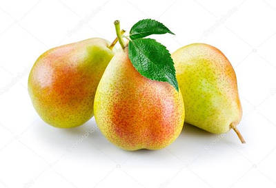 САДЖАНЦІ ГРУШ