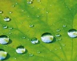 Гідрофобна домішка до фасадних фарб Dow Corning® 88 Additive, фото 1