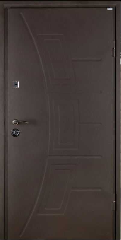 Двері вхідні Бастіон АДЕЛЬ RAL 8019 / Венге горизонт темний 860х2050 мм, фото 1