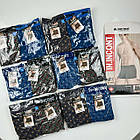 Чоловічі бавовняні труси боксери In.Incont #9103, фото 4