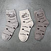 Шкарпетки жіночі 6 пар «Кава» розмір 36-41 арт. 294.6, фото 5