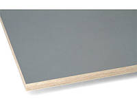 Фанера 9х1250х2500 мм F/F Riga ( silver grey 220 г/м2)