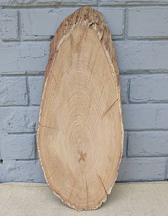Зріз дерева дубовий, сухий (не оброблений) 500х200мм., фото 1