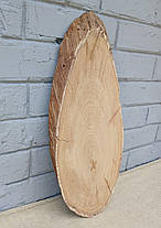 Зріз дерева дубовий, сухий (не оброблений) 500х200мм., фото 2