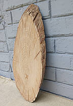 Зріз дерева дубовий, сухий (не оброблений) 500х200мм., фото 3