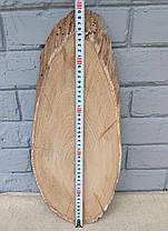 Зріз дерева дубовий, сухий (не оброблений) 500х200мм., фото 4