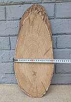 Зріз дерева дубовий, сухий (не оброблений) 500х200мм., фото 5