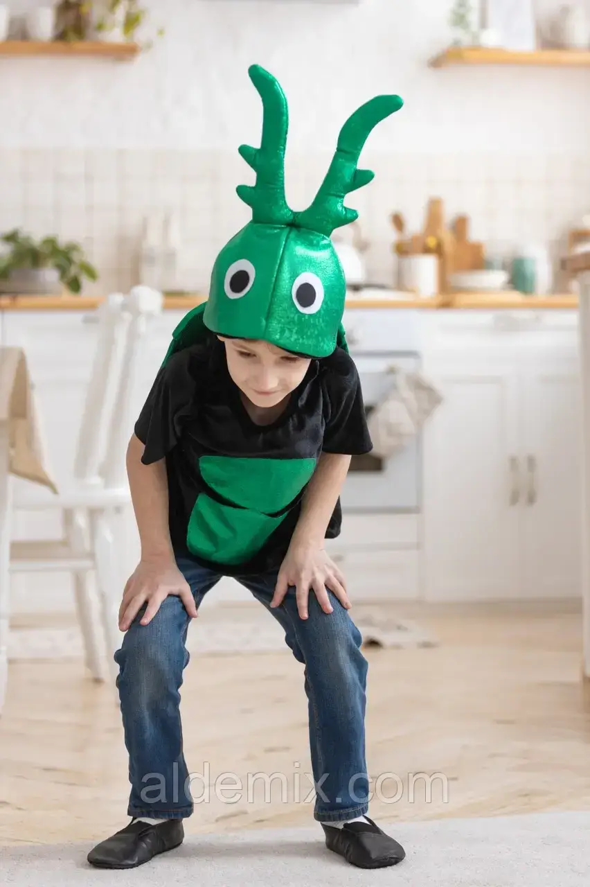 Жук Хрущ дитячий карнавальний костюм