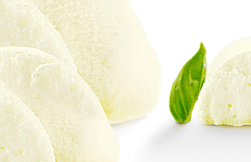 Potatowhip Cold: рослинна альтернатива білку    