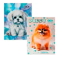 Щоденник шкільний (А5, 40 аркушів, м'яка обкладинка ламінована) ZiBi  CUTE PUPPY ZB13121