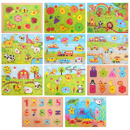 Дерев'яна іграшка Рамка-вкладиш (MD1564)