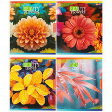 Зошит кольоровий 48 аркушів, клітинка 3881 MZOPT