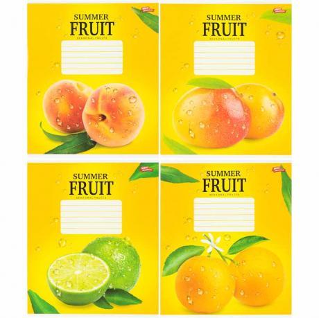 Зошит кольоровий 24 листи, клітина 3863 MZOPT