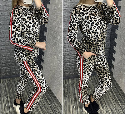 Леопардовий велюровий костюм з лампасами