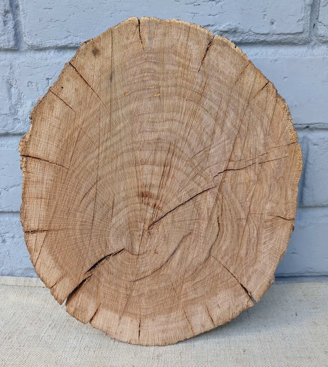 Спил, зріз дерева для творчості (260х220мм)