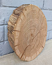 Спил, зріз дерева для творчості (260х220мм), фото 3