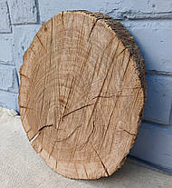 Спил, зріз дерева для творчості (260х220мм), фото 2