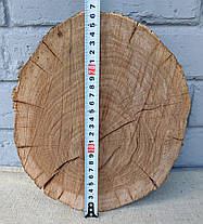 Спил, зріз дерева для творчості (260х220мм), фото 4
