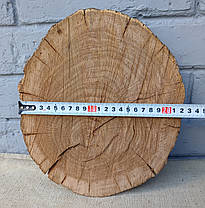Спил, зріз дерева для творчості (260х220мм), фото 5