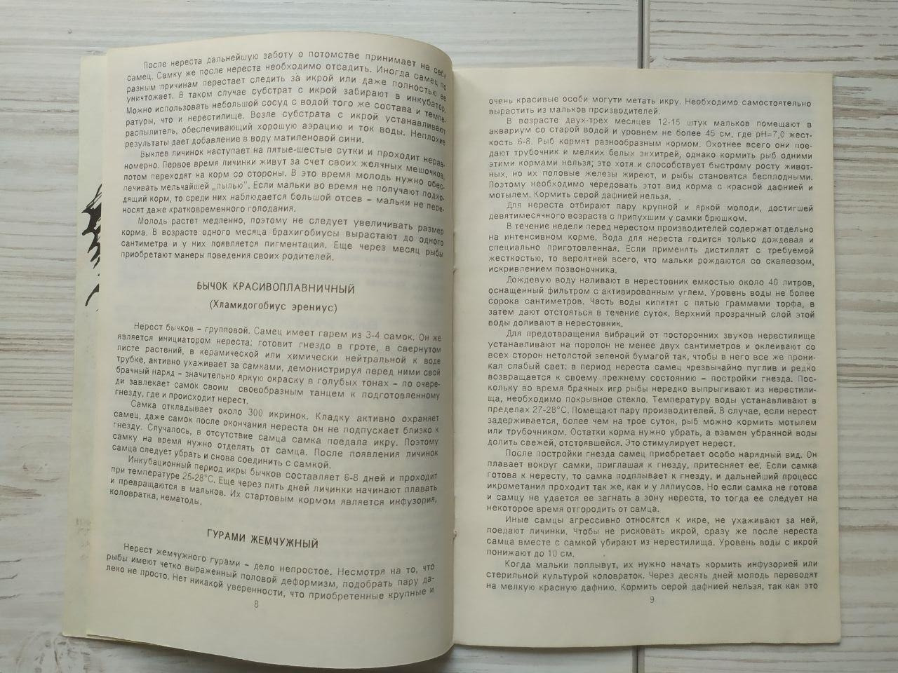 Product image preview