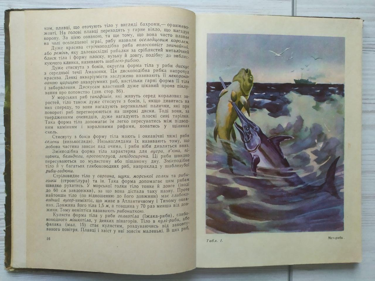 Product image preview