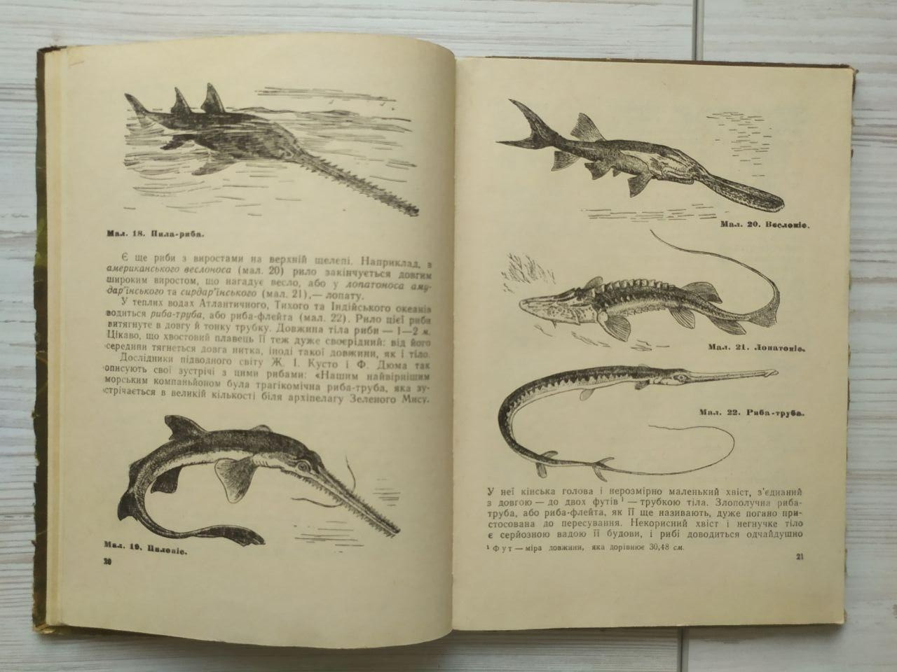 Product image preview