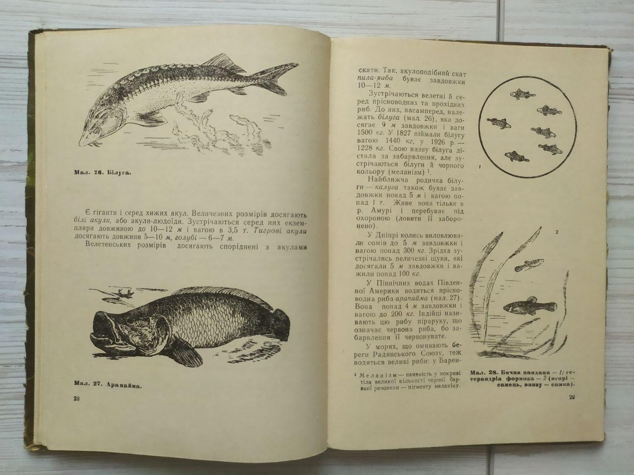 Product image preview