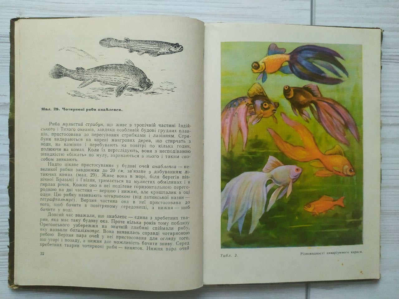 Product image preview