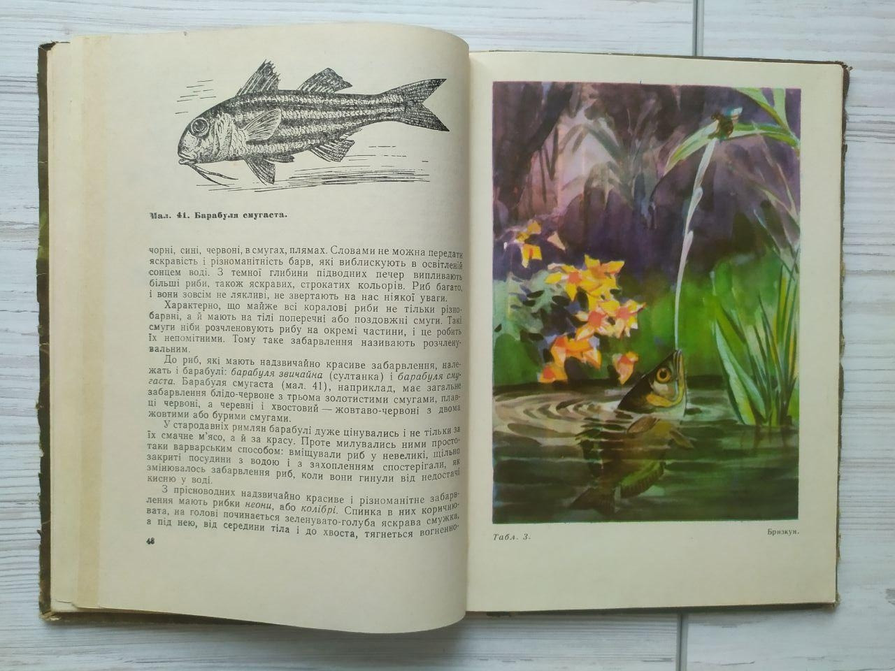 Product image preview